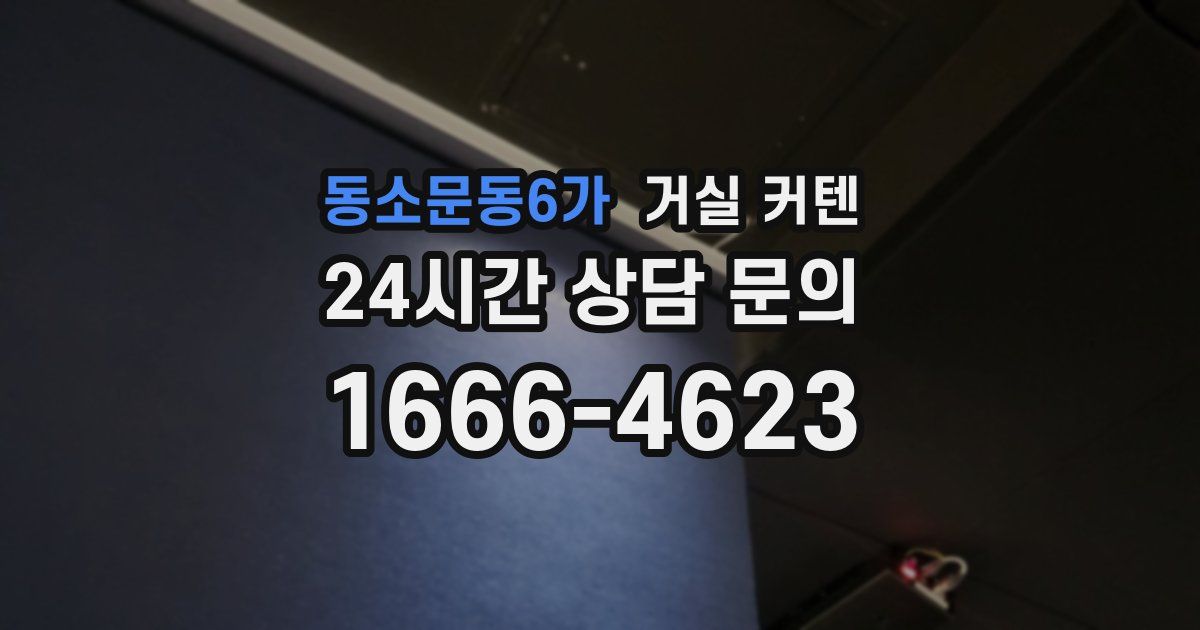 동소문동6가 거실 커텐