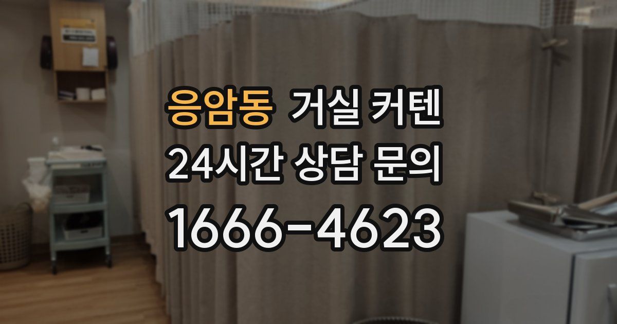 응암동 거실 커텐