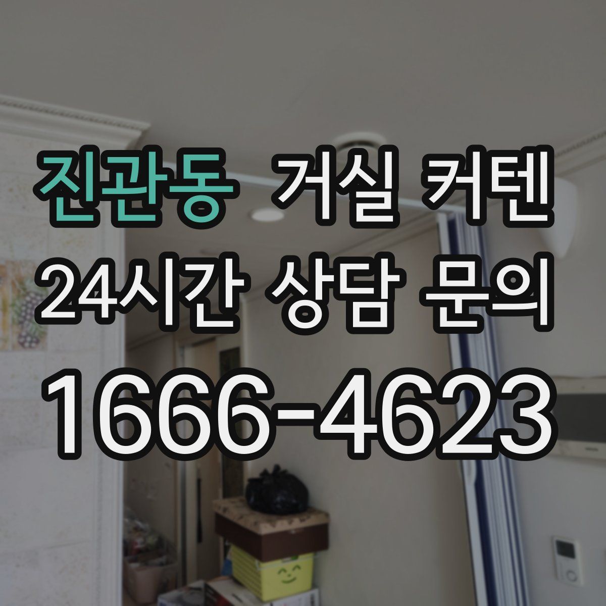 진관동 거실 커텐