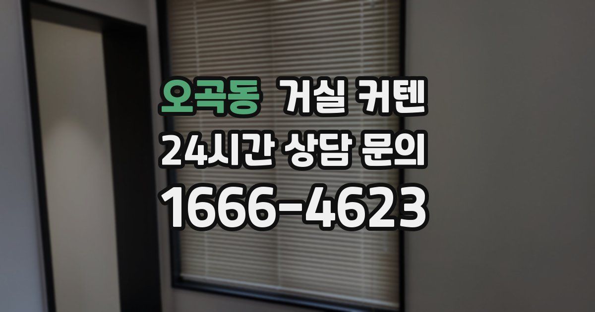 오곡동 거실 커텐