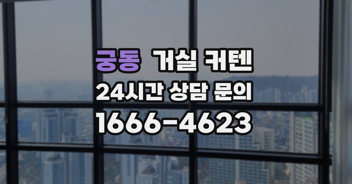 궁동 거실 커텐