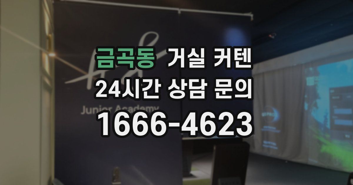 금곡동 거실 커텐