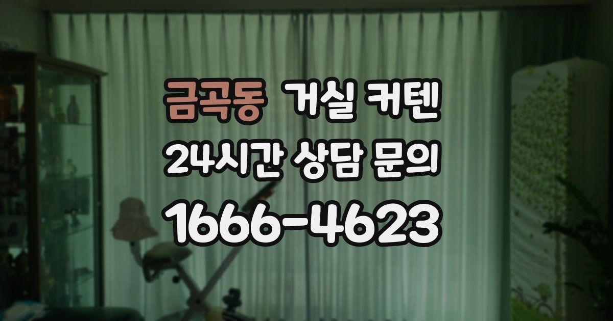 금곡동 거실 커텐