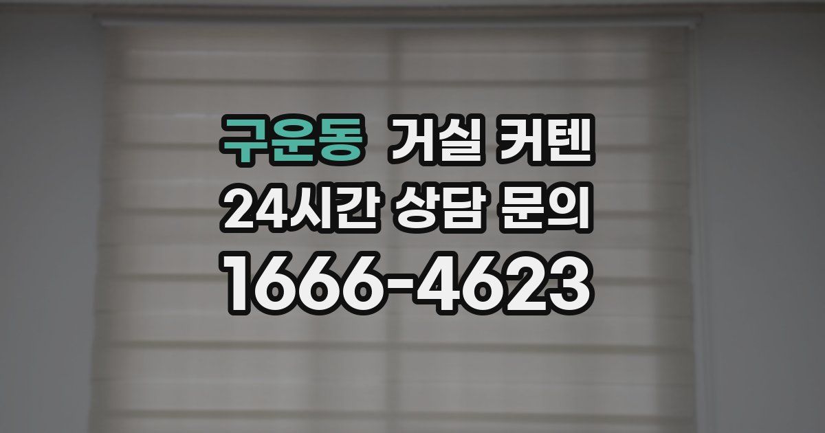 구운동 거실 커텐