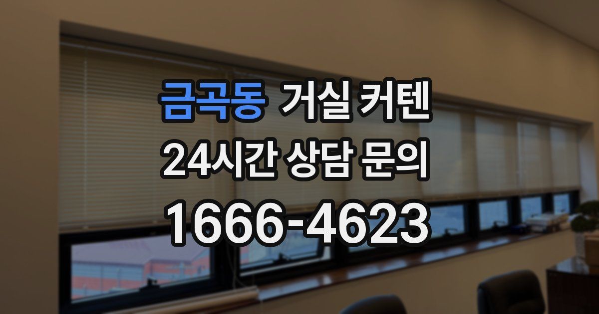 금곡동 거실 커텐