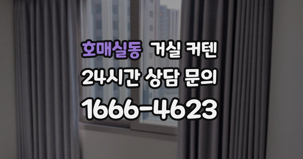 호매실동 거실 커텐