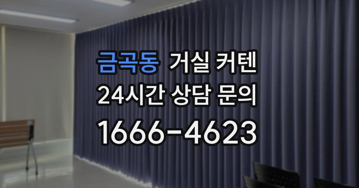 금곡동 거실 커텐