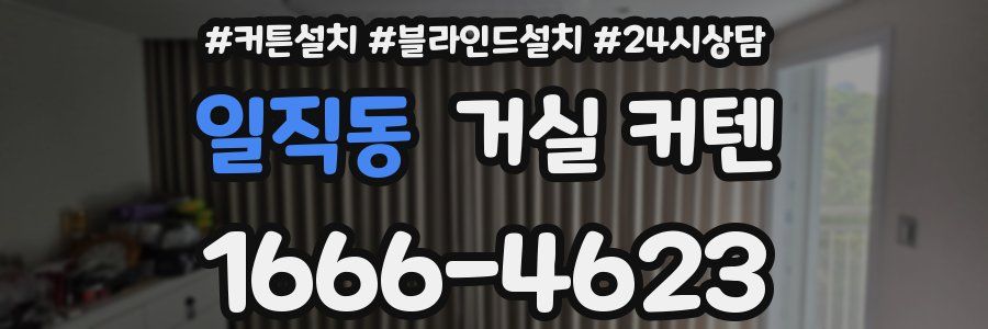 일직동 거실 커텐