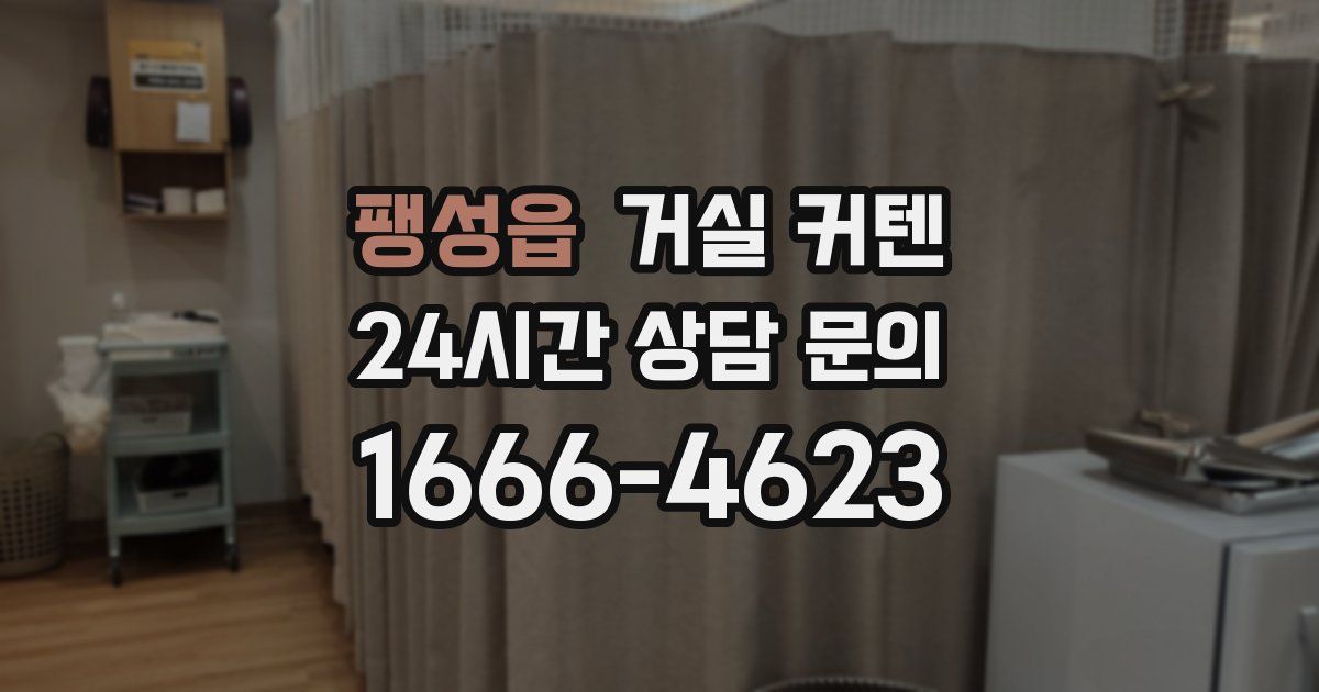 팽성읍 거실 커텐