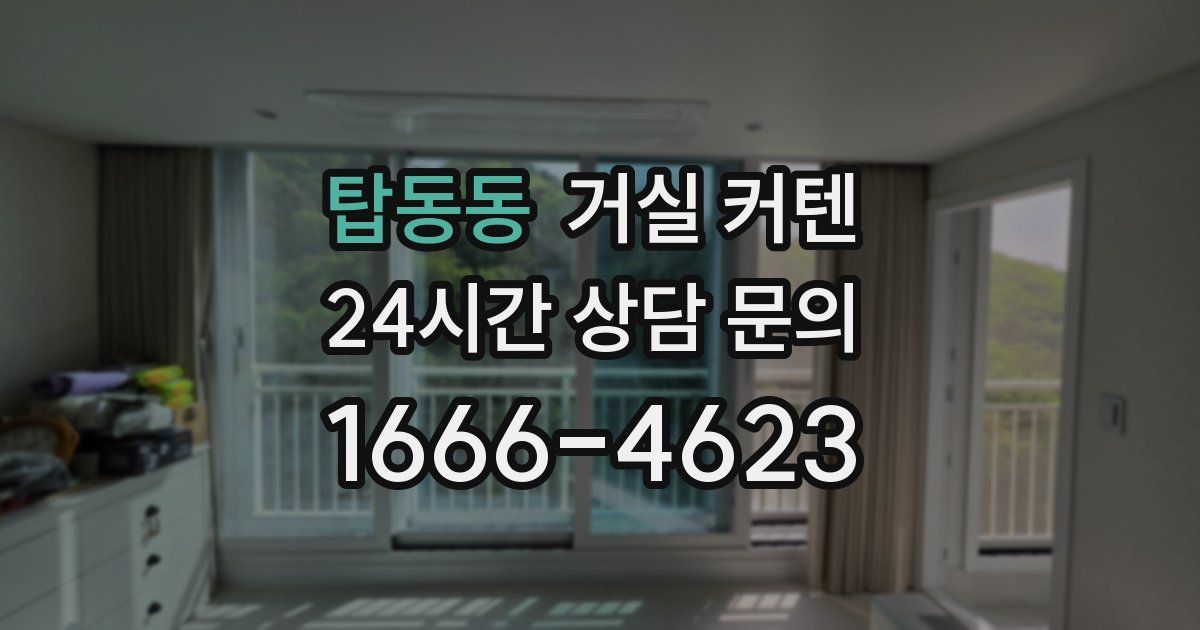 탑동동 거실 커텐