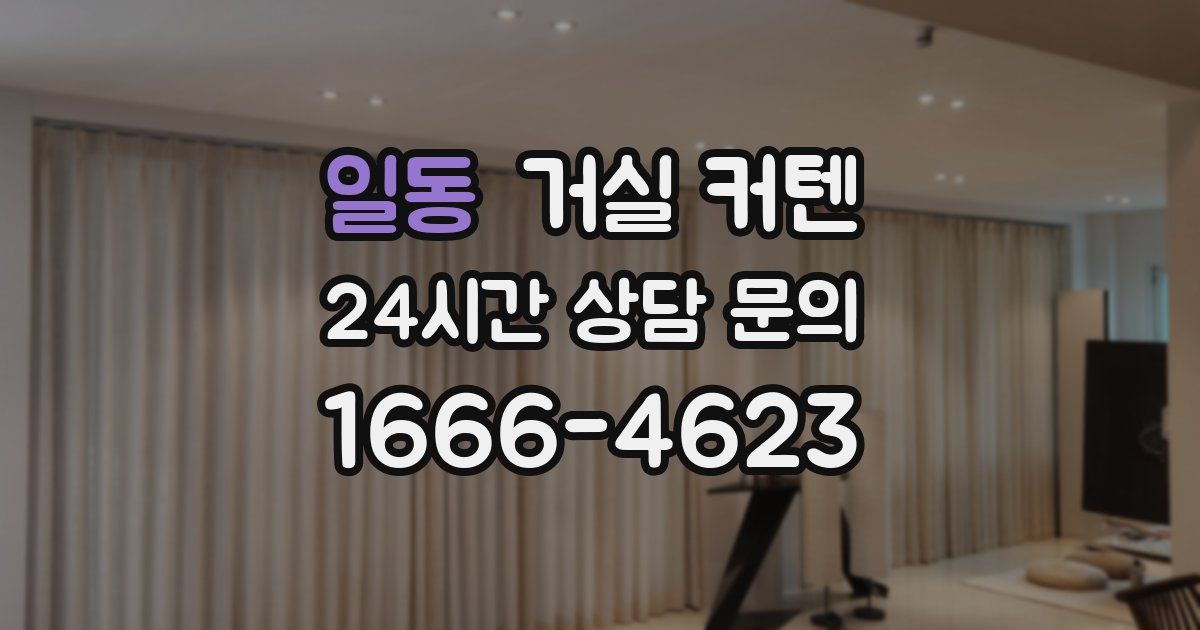 일동 거실 커텐