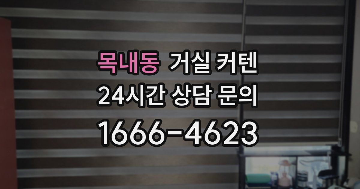 목내동 거실 커텐