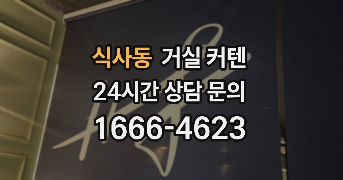 식사동 거실 커텐