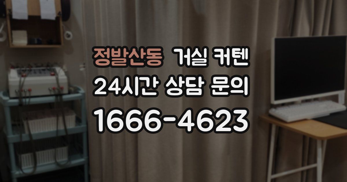 정발산동 거실 커텐