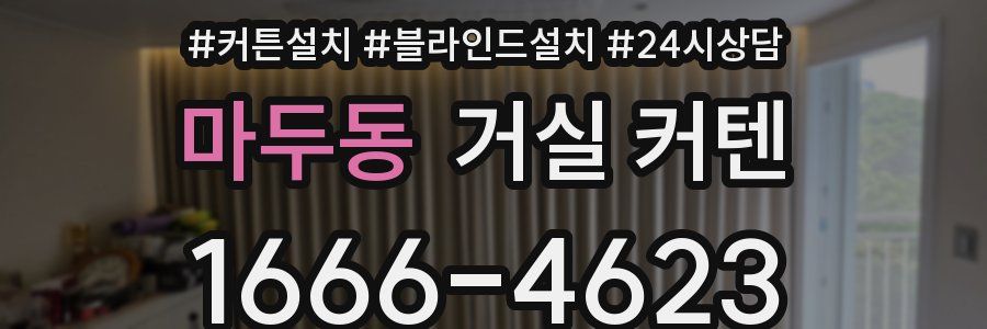 마두동 거실 커텐