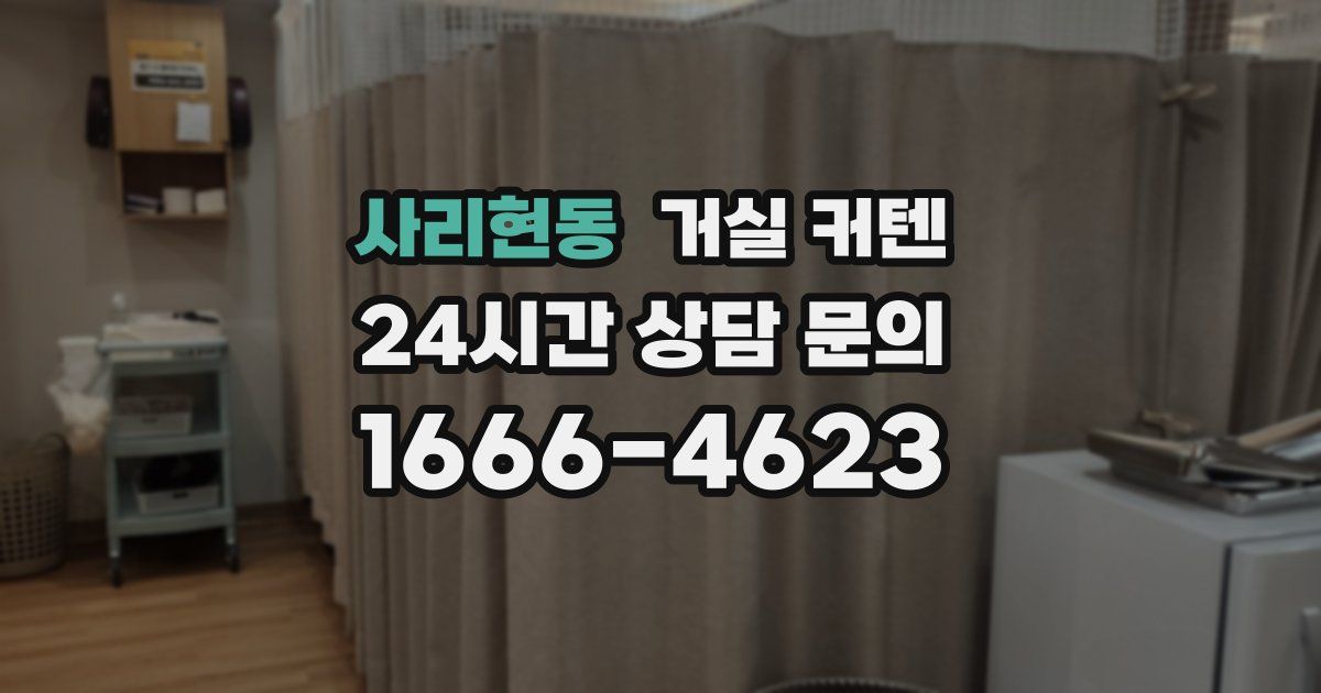 사리현동 거실 커텐