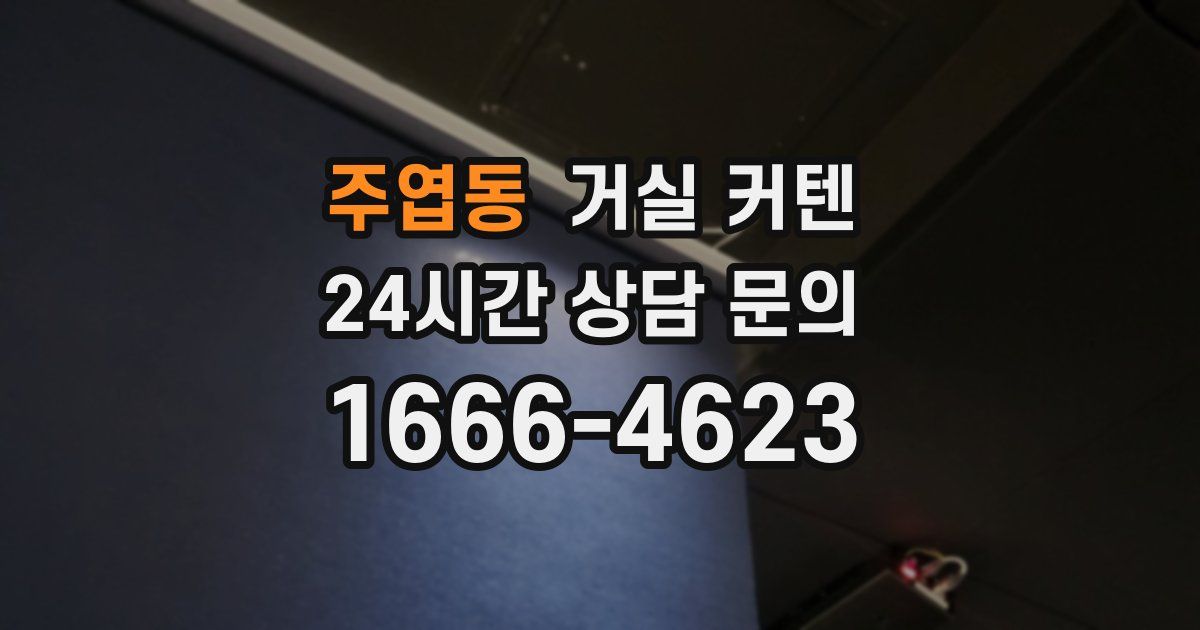 주엽동 거실 커텐