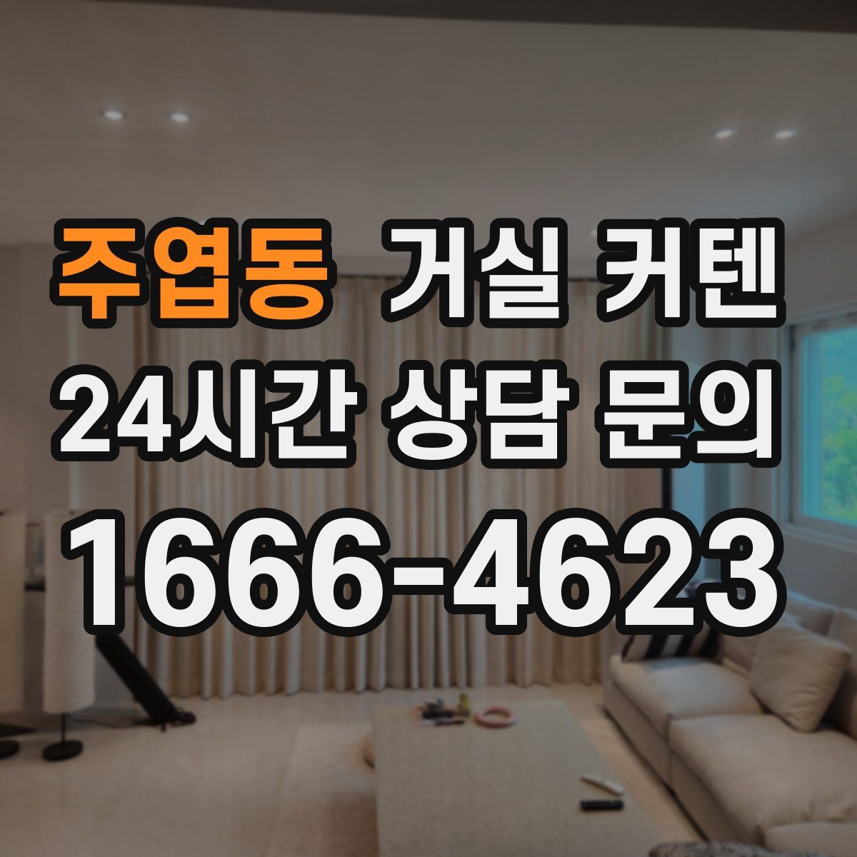 주엽동 거실 커텐
