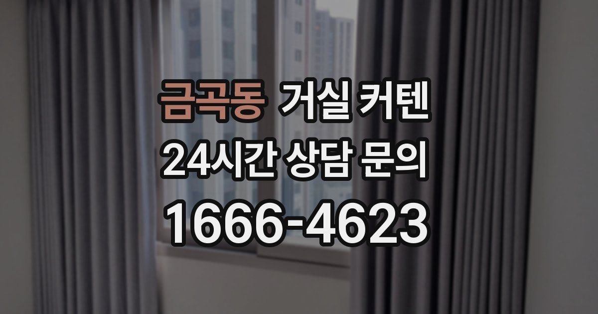 금곡동 거실 커텐