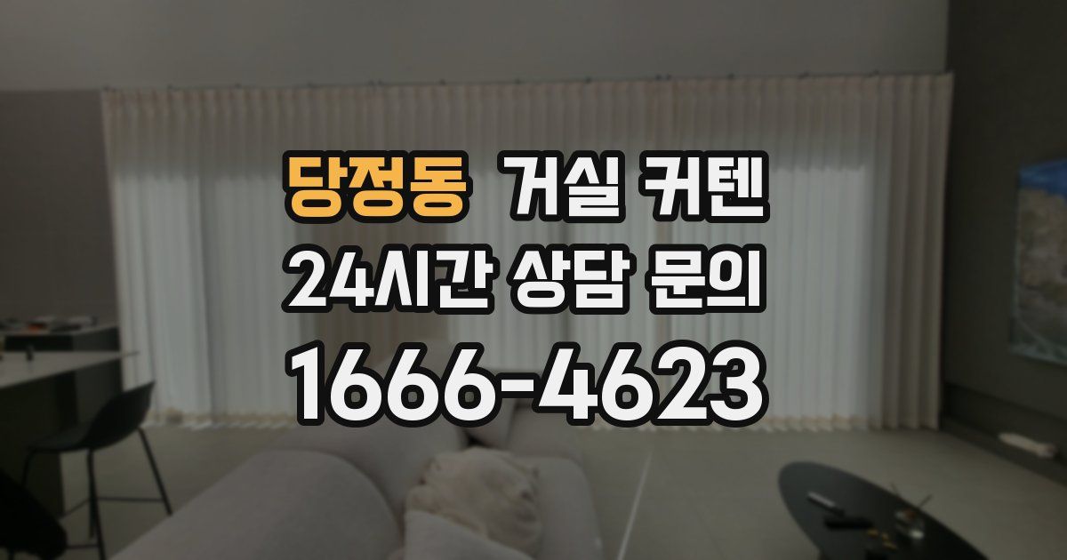 당정동 거실 커텐