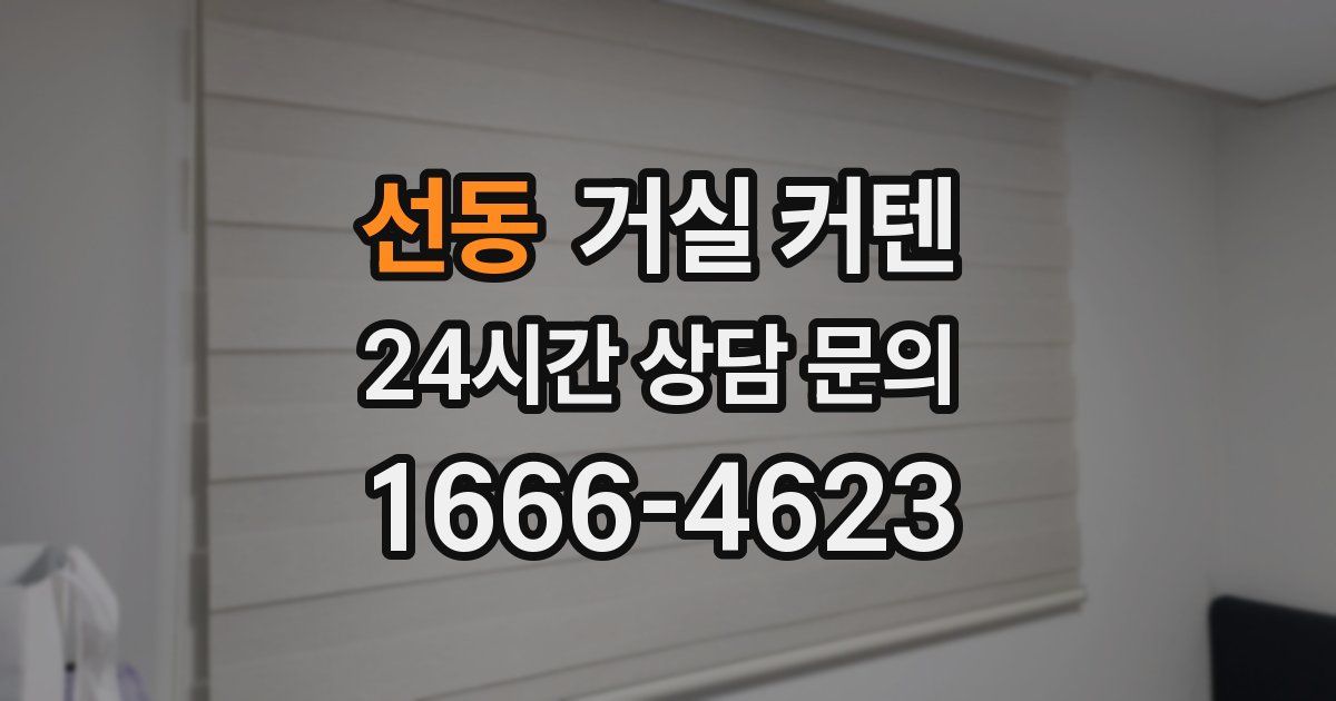 선동 거실 커텐