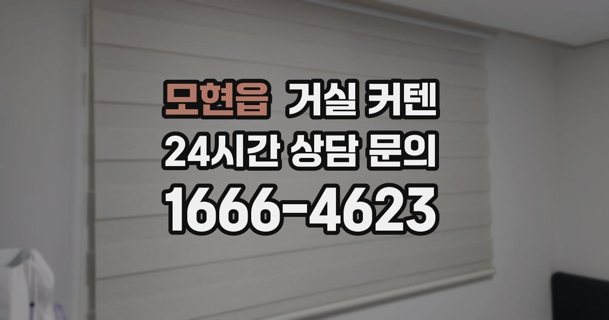 모현읍 거실 커텐