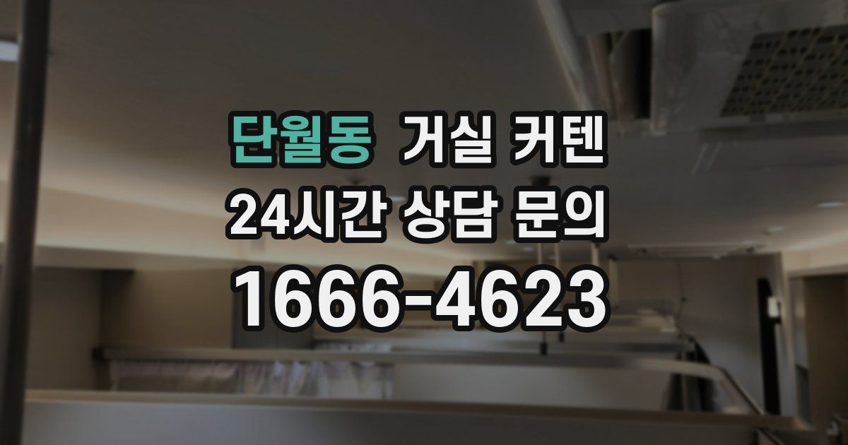 단월동 거실 커텐