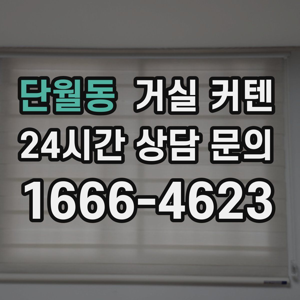 단월동 거실 커텐