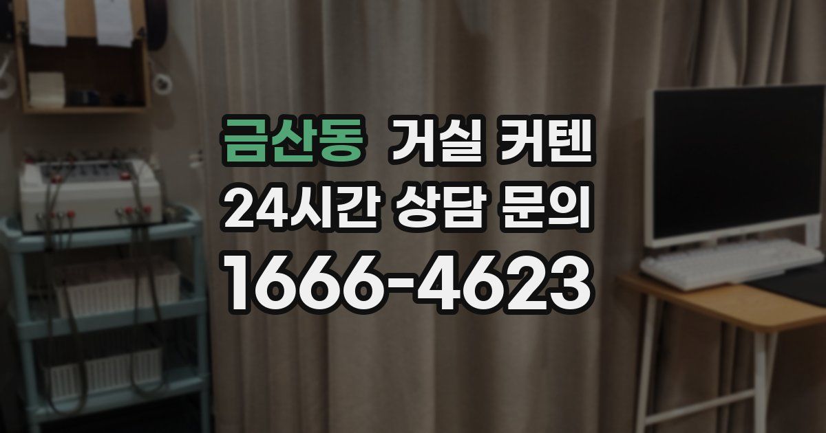 금산동 거실 커텐