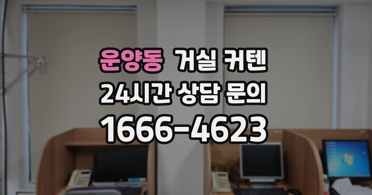 운양동 거실 커텐