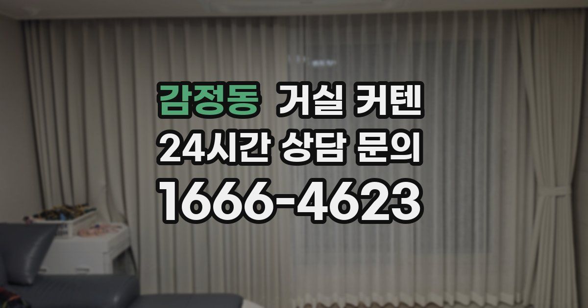 감정동 거실 커텐