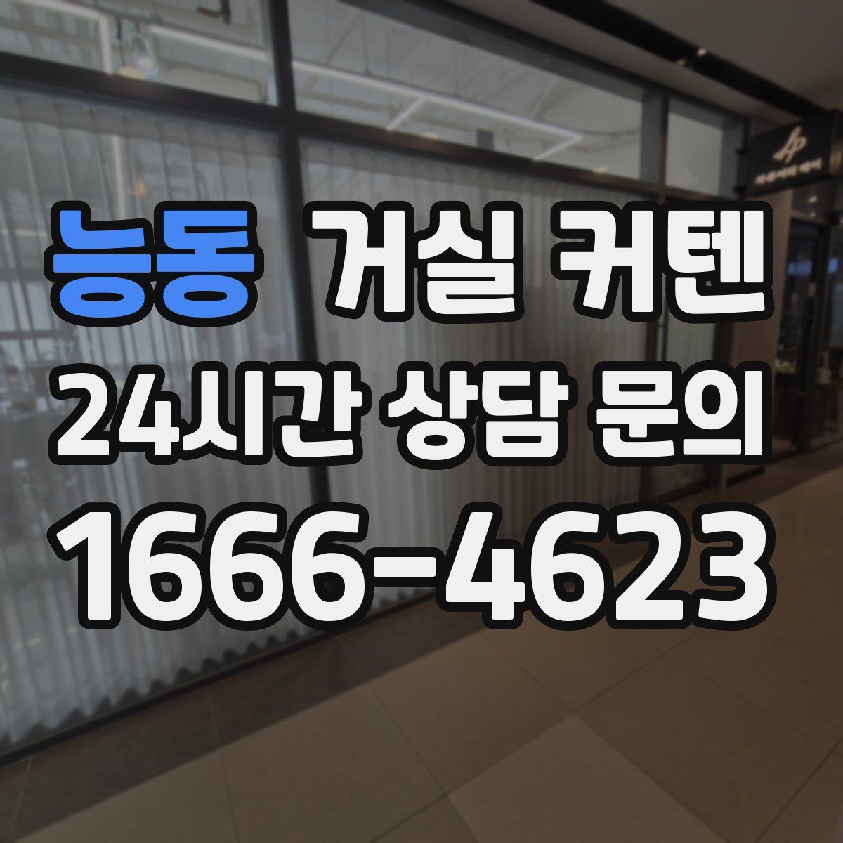 능동 거실 커텐