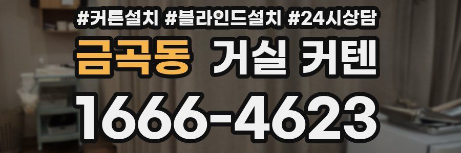 금곡동 거실 커텐
