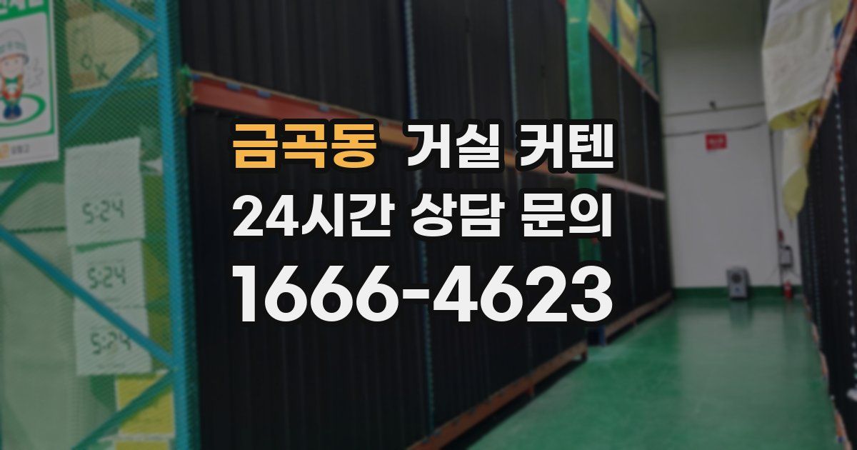 금곡동 거실 커텐
