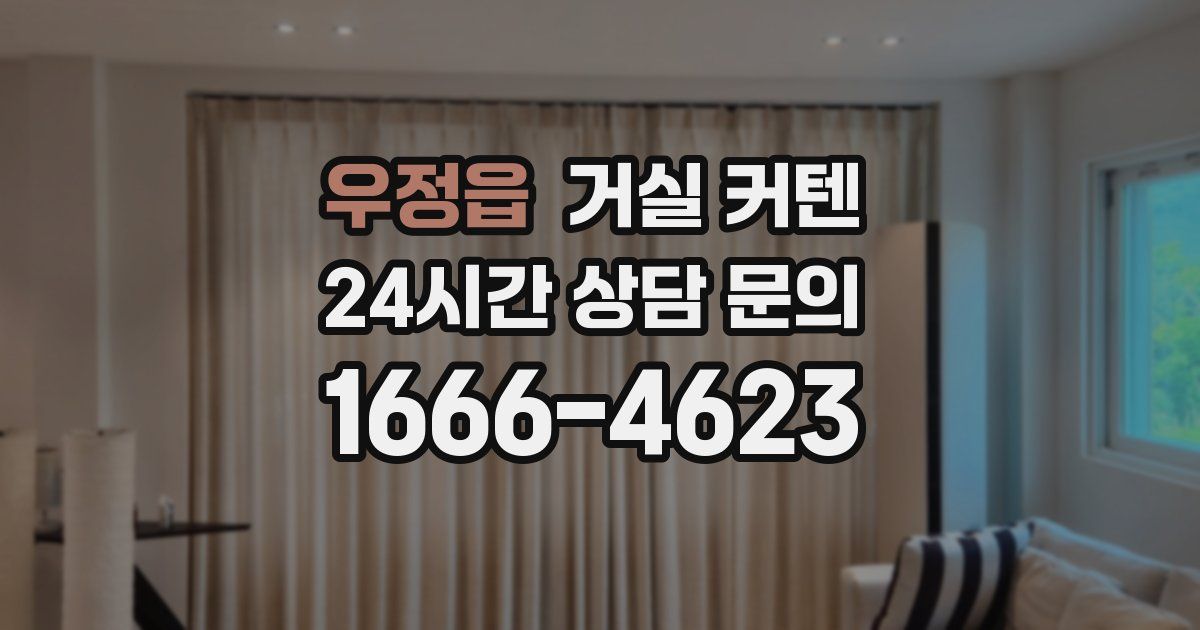 우정읍 거실 커텐