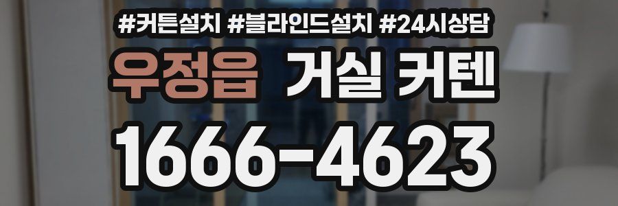 우정읍 거실 커텐