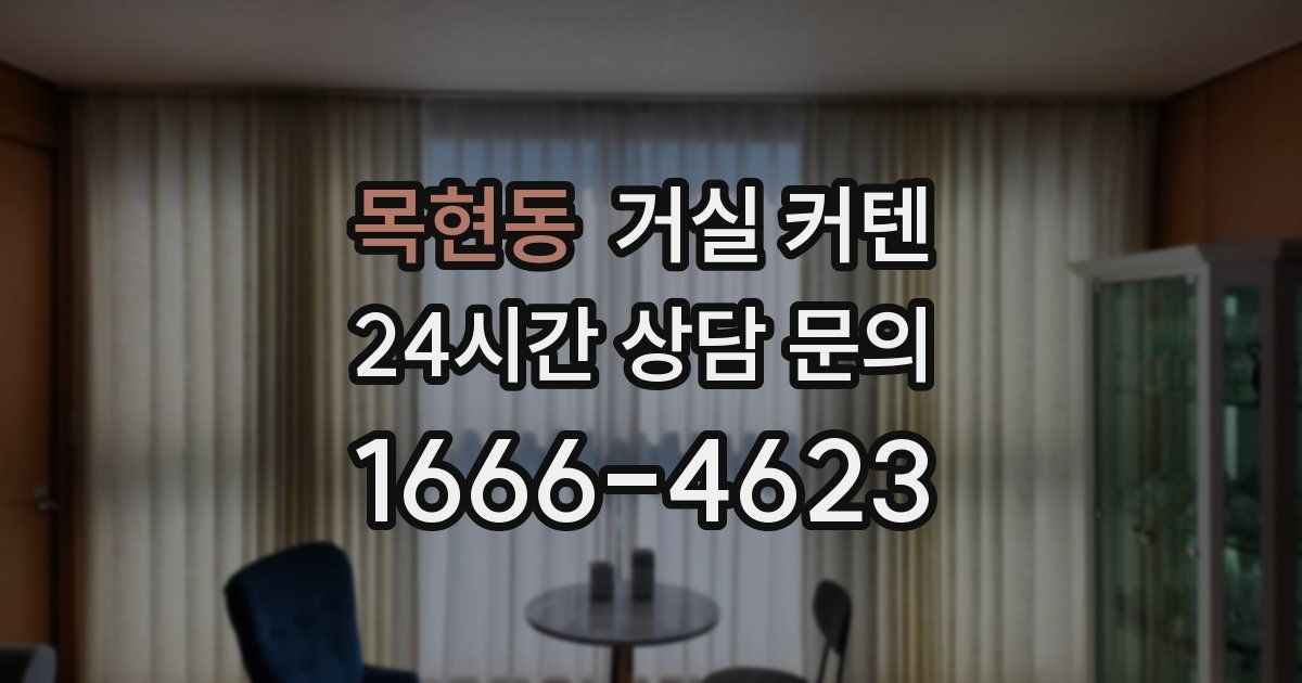 목현동 거실 커텐