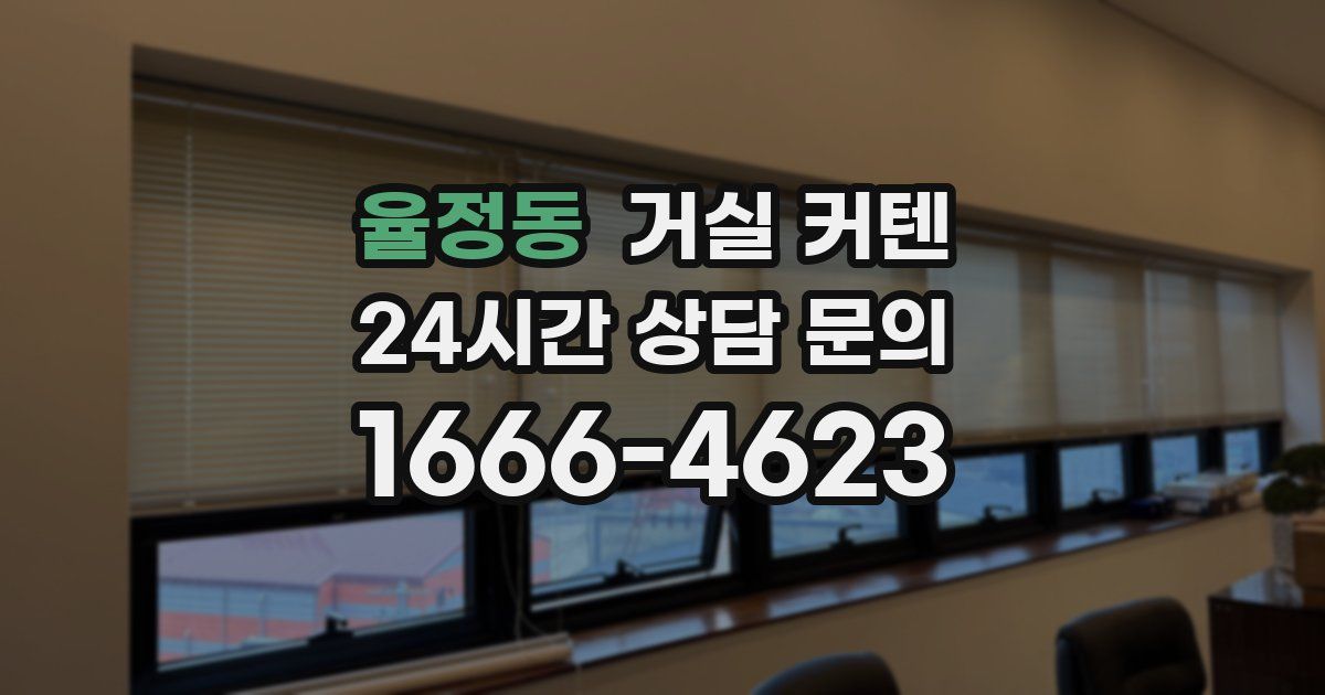 율정동 거실 커텐