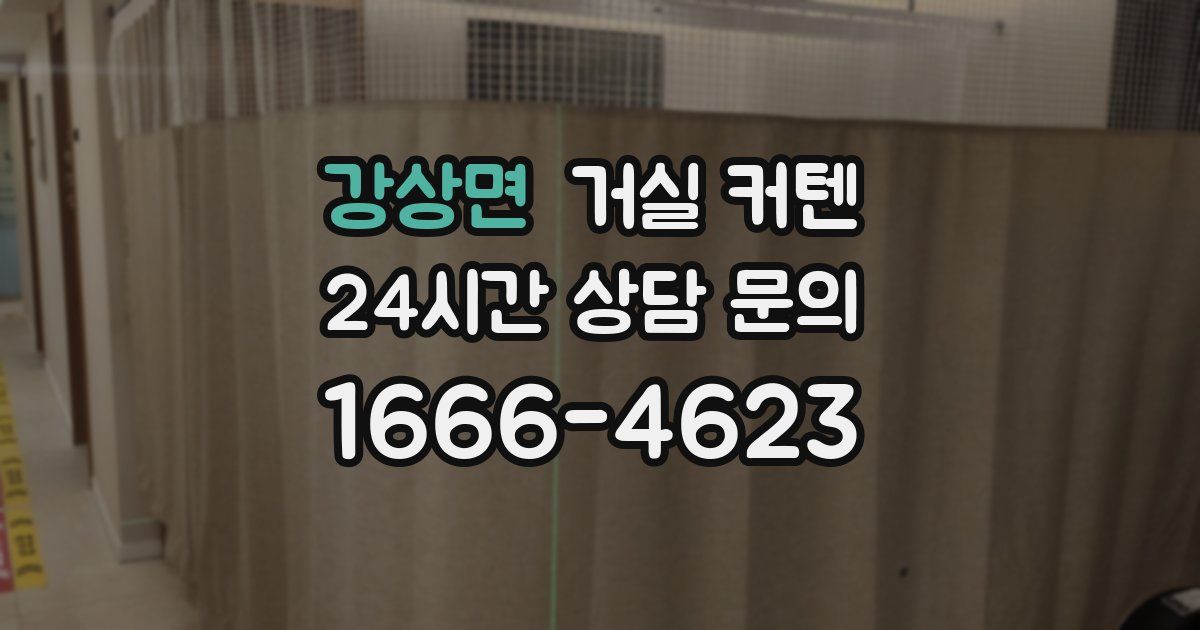 강상면 거실 커텐