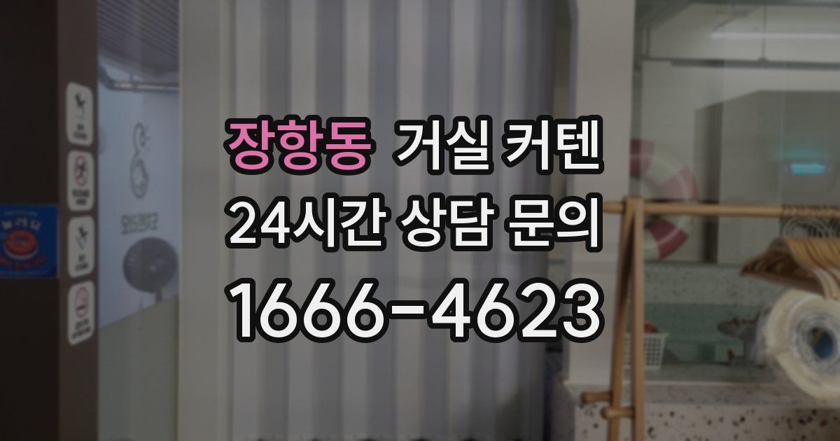 장항동 거실 커텐
