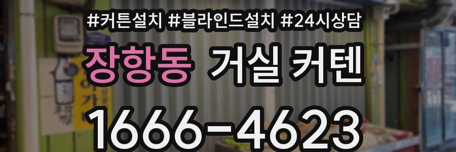 장항동 거실 커텐