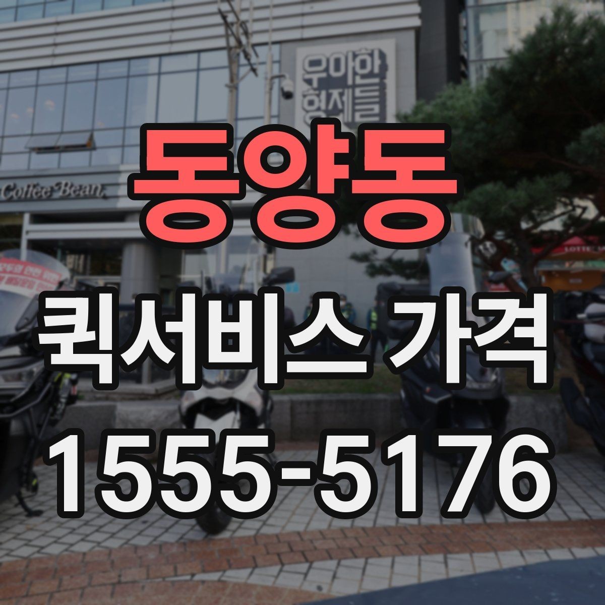 동양동 퀵서비스 가격 문의 전 확인하면 좋은 세부 항목