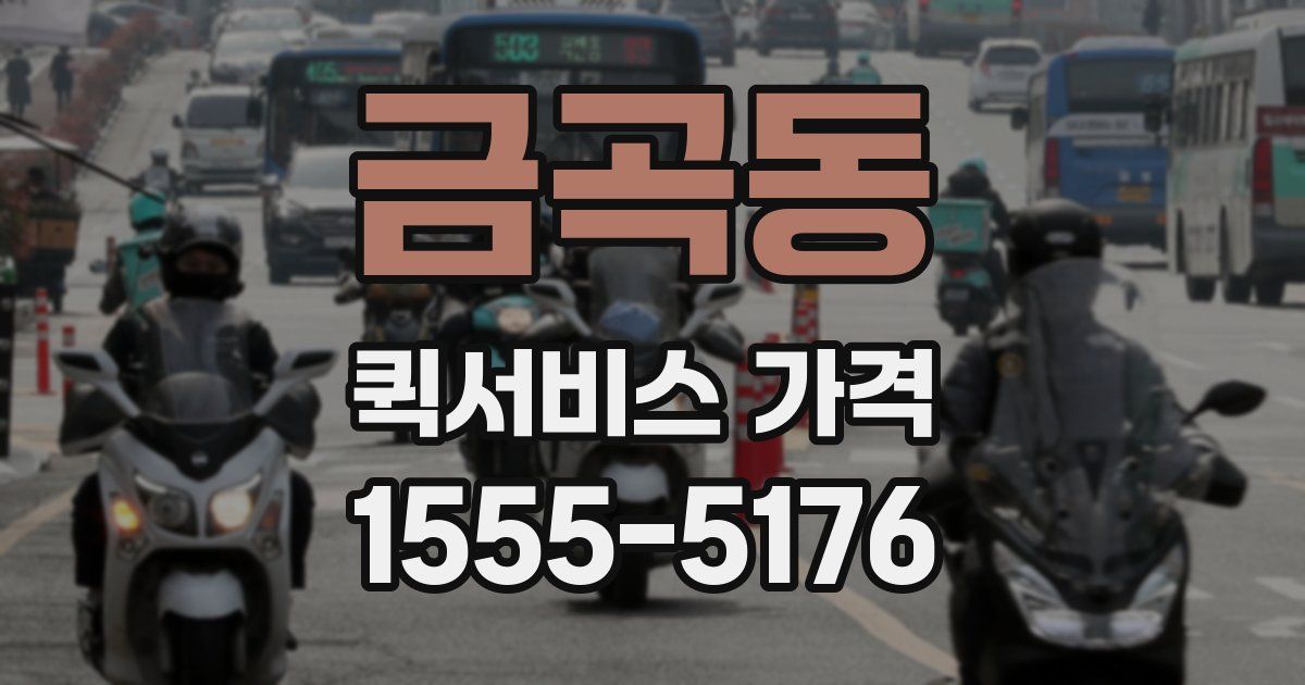 금곡동 퀵서비스 가격