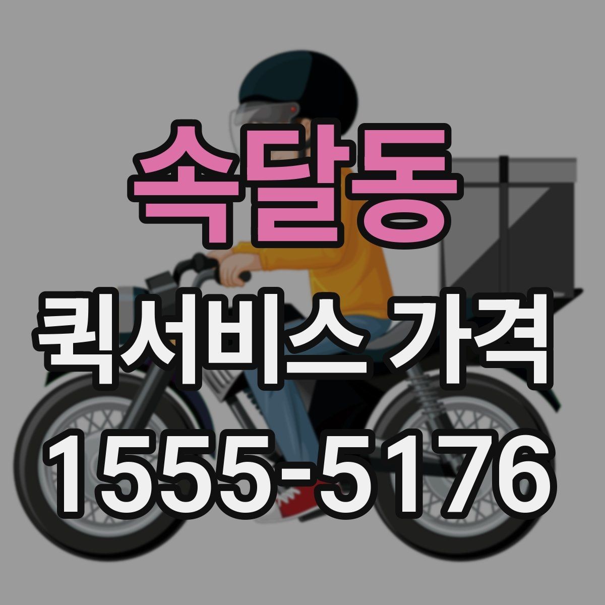 속달동 퀵서비스 가격 비교 시 서비스 범위 확인하기