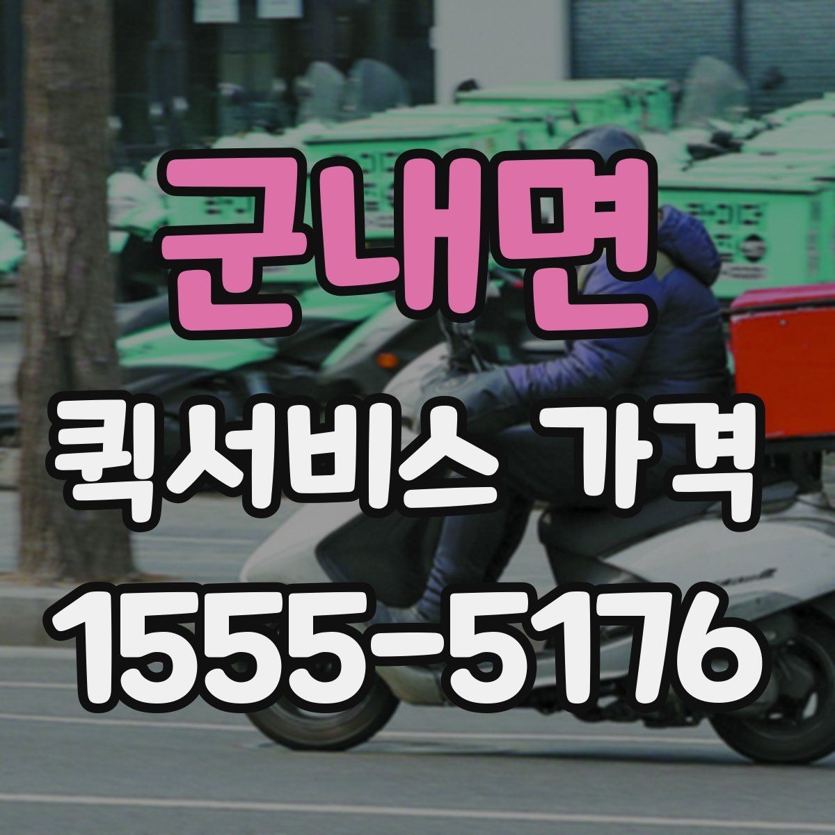 군내면 퀵서비스 가격 비교 시 운송 방식별 특징