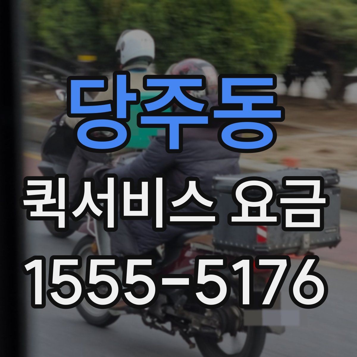 당주동 퀵서비스 요금 기본 확인 방법