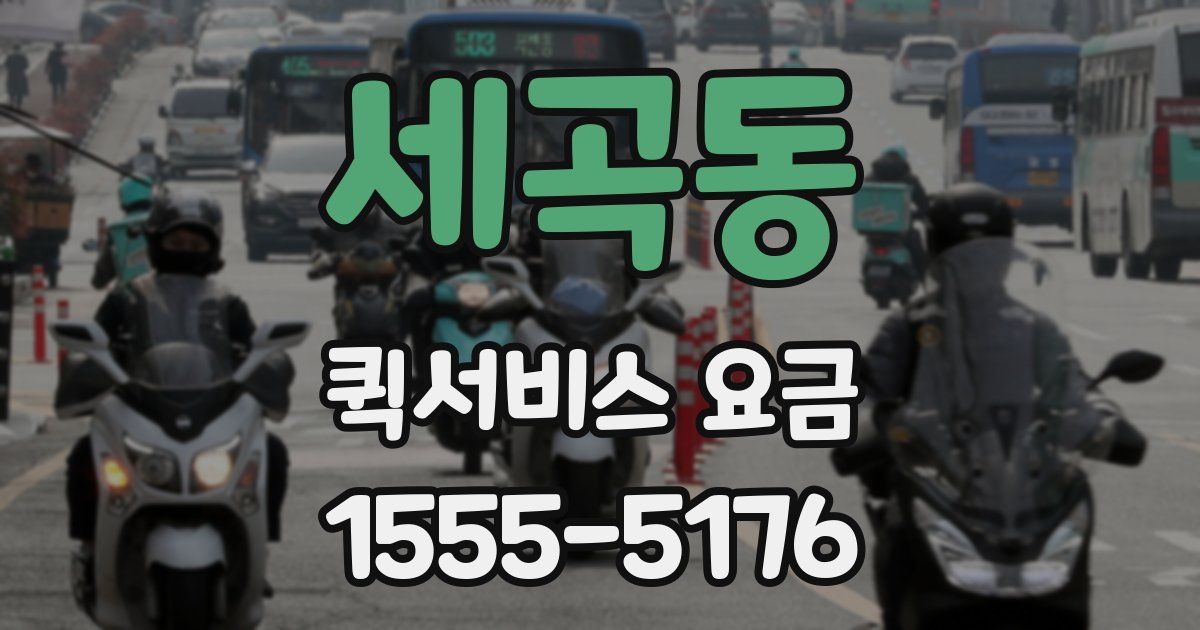 세곡동 퀵서비스 요금