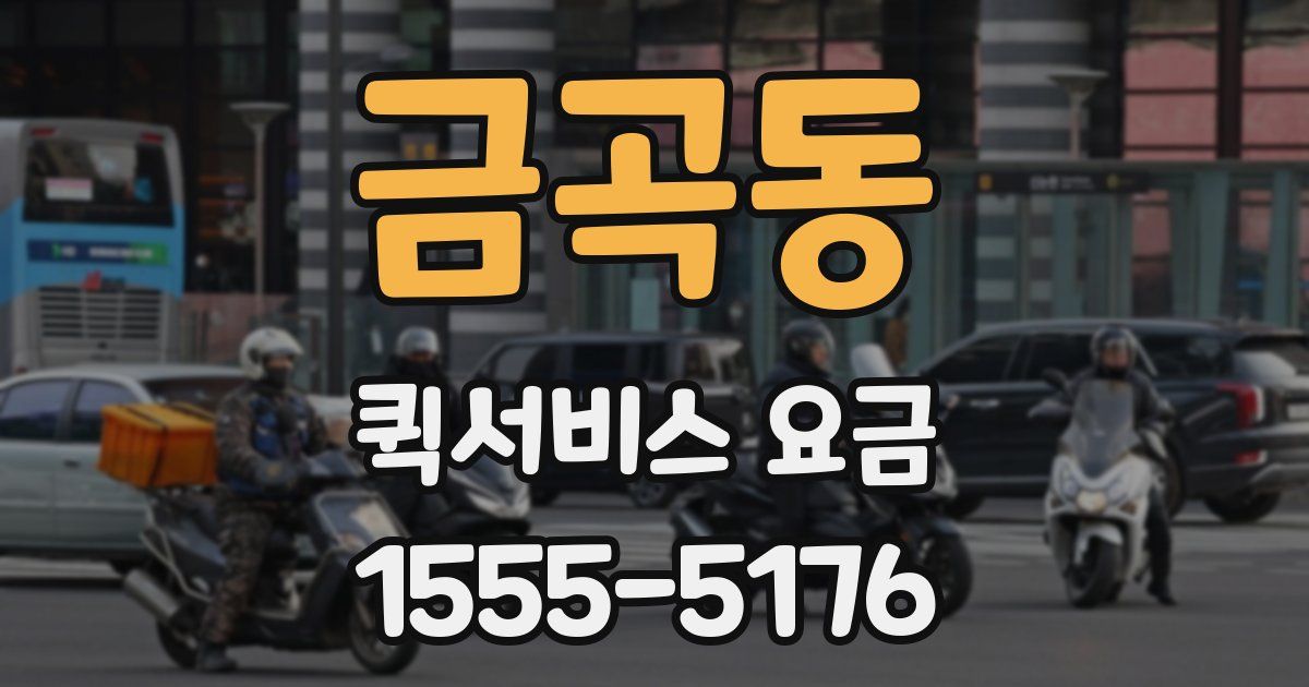 금곡동 퀵서비스 요금