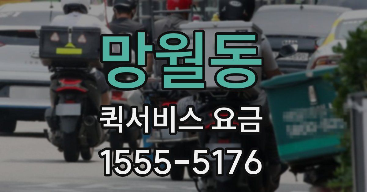 망월동 퀵서비스 요금
