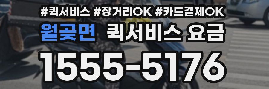 월곶면 퀵서비스 요금